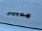 2023 GMC Terrain AWD AT4